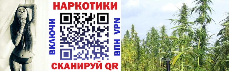 Где найти наркотики Шадринск Кокаин  МЕФ  Марихуана 