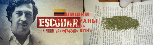 гашик Алексин