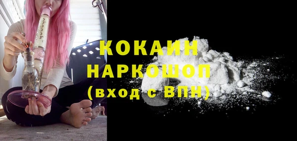 гашик Алексин