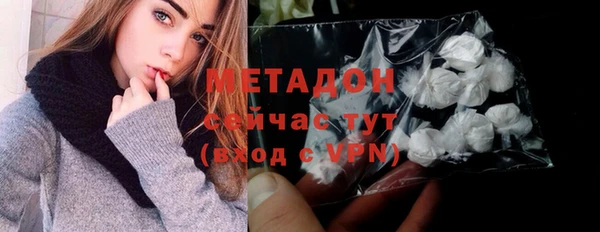 гашик Алексин