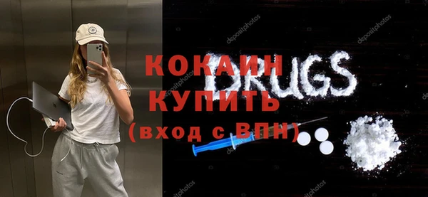 гашик Алексин