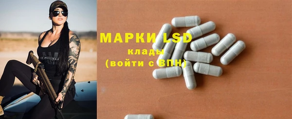 гашик Алексин