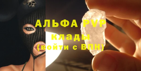 гашик Алексин