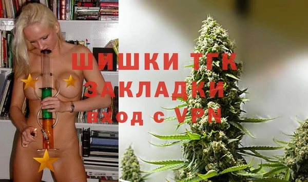 гашик Алексин