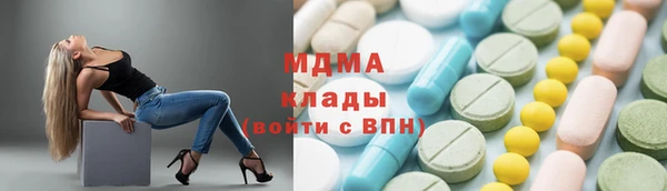 гашик Алексин