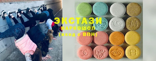гашик Алексин