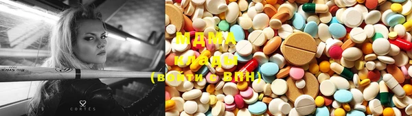 гашик Алексин